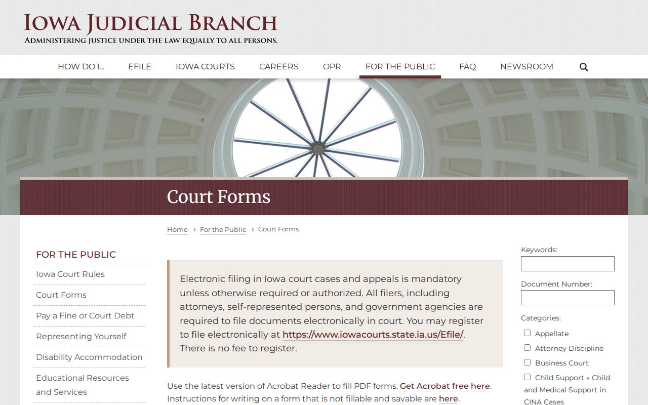 Iowa Judicial Branch expungement court form access